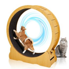 Cat Wheel Exerciser for Indoor Cats, 39.4-inch Large Cat Exercise Wheel for Running Silent